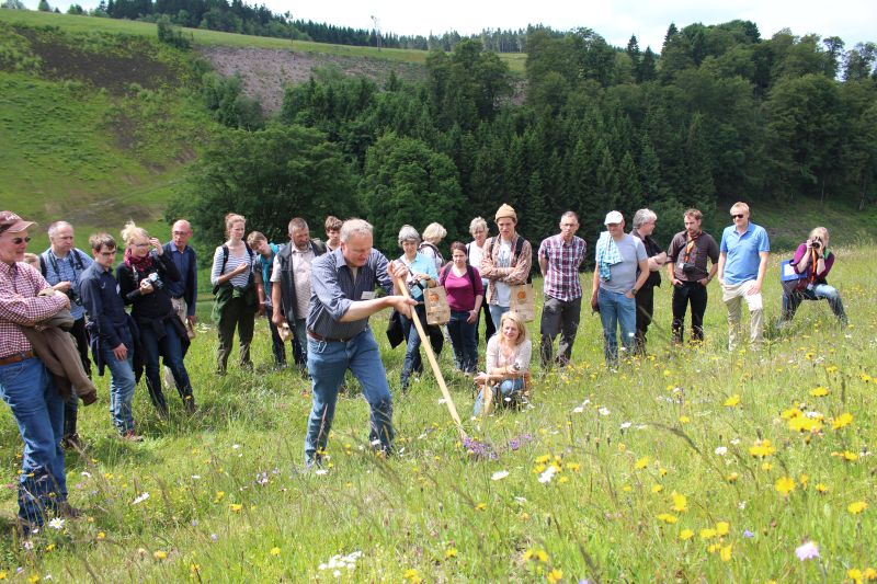 Vorführung Lupinenbekämpfung