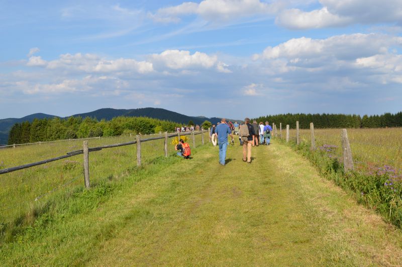 Wanderung am Kreuzberg bei Winterberg