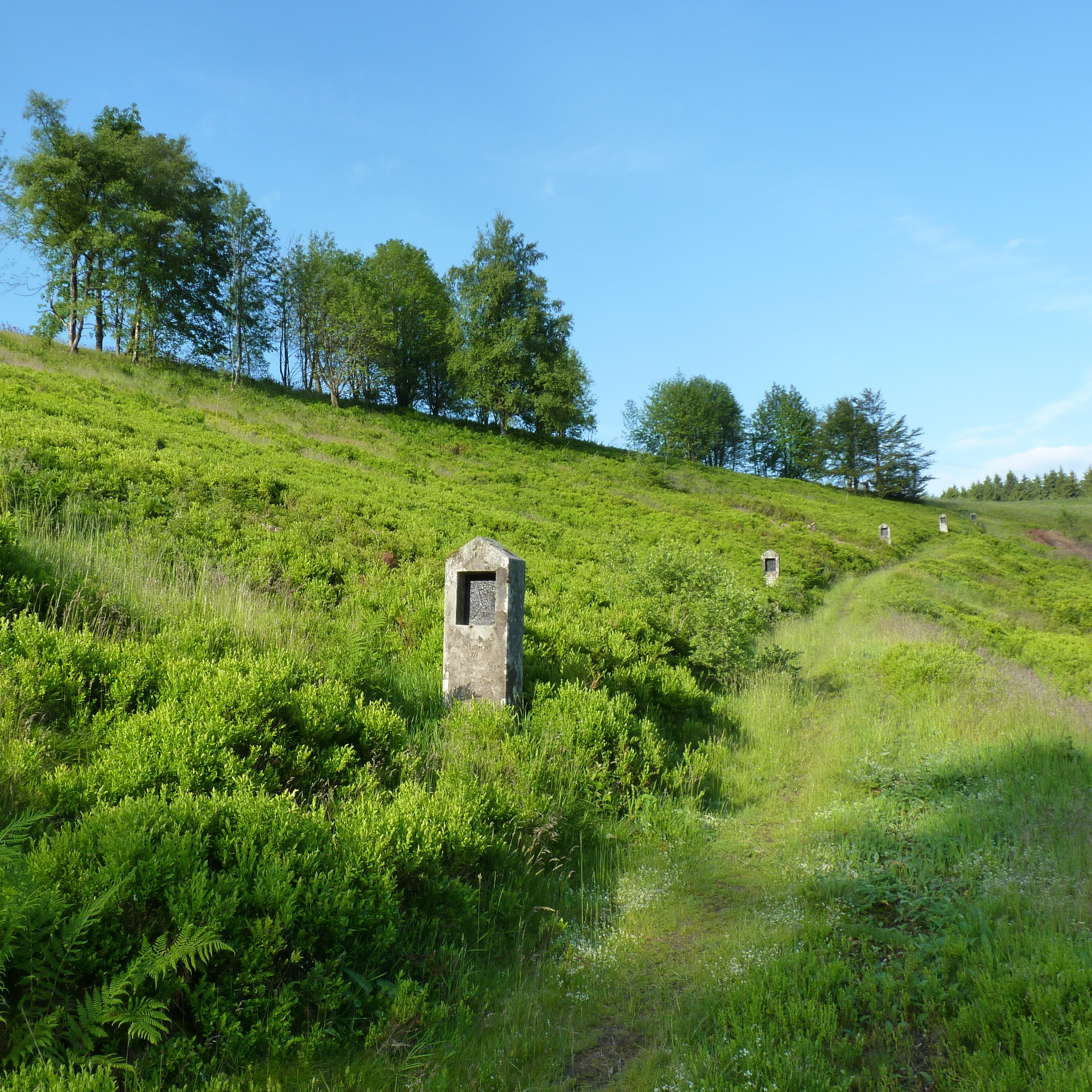 Altastenberg freigestellte Hedeflche