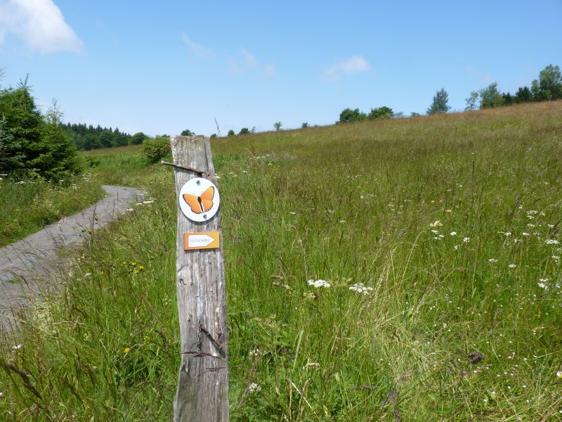 Bergwiesenpfad Altastenberg