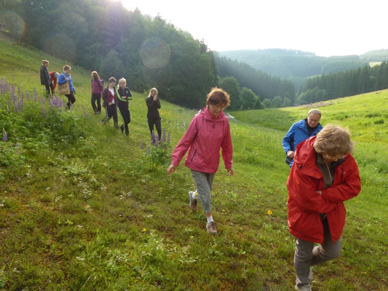 Achtsamkeistsspaziergang nach dem Yoga