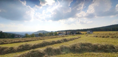 bergwiese lenneplaetze nach dem maehen 20140723 1716207059