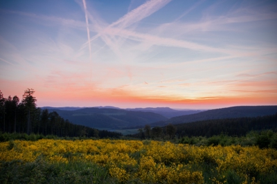 hochheide bei niedersfeld 20140602 1909354796