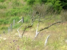 Ruhrtalradweg