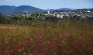 Bergwiese vor Winterberg