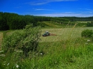 Heuwender auf dem Feld