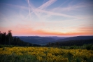 Hochheide bei Niedersfeld