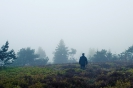 Wanderer auf der Hochheide