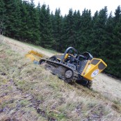 Mulchen eines Borstgrasrasens bei Altastenberg