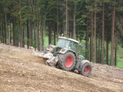 Forstmulchen nach der Rodung