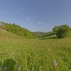 nährstoffreiche Bergwiese gegenüber der Hasenhütte