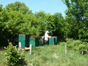 Bienenstand Bergwiesen-Imker
